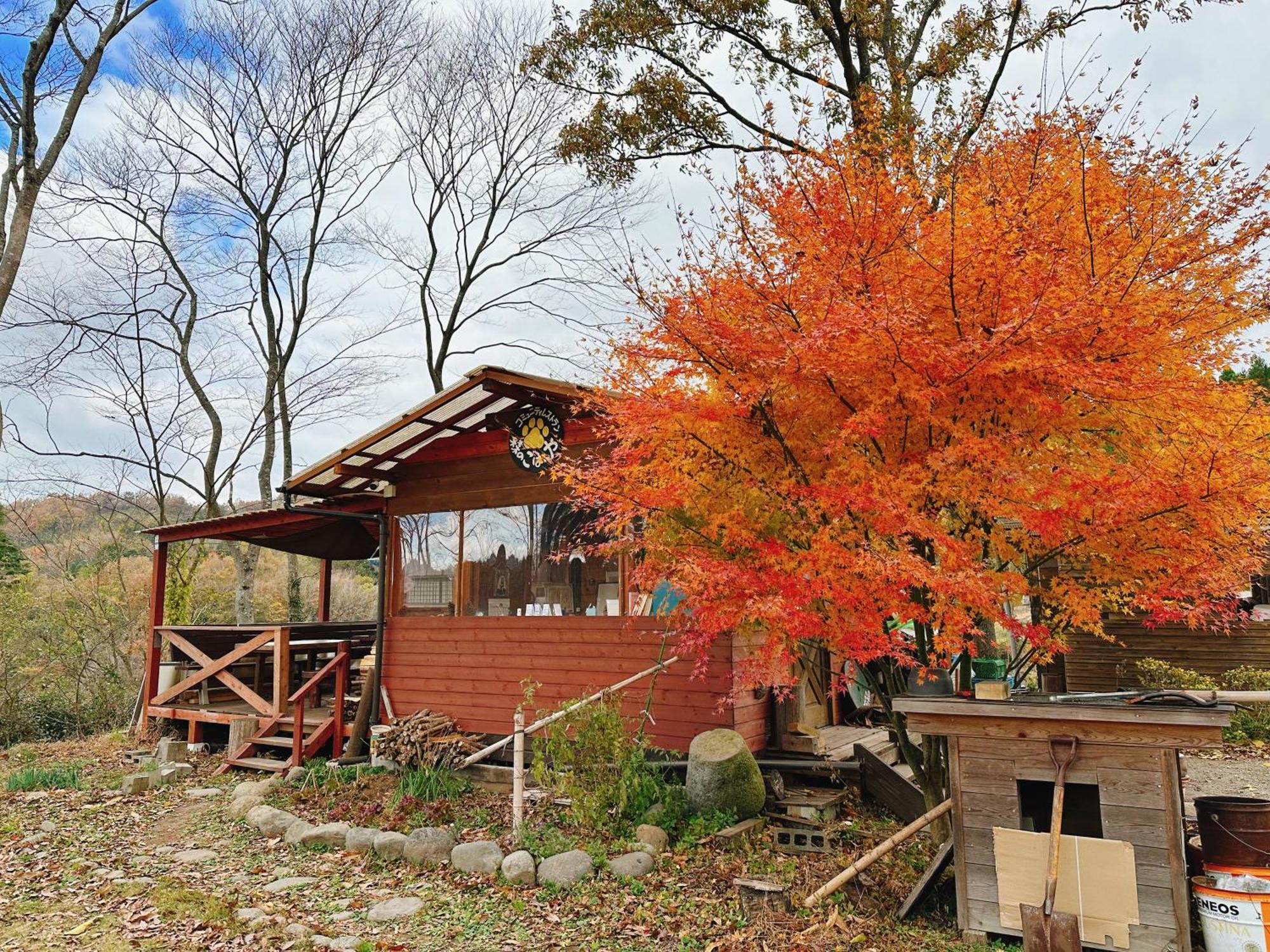 Guesthouse Kurihai Ōita Exterior foto